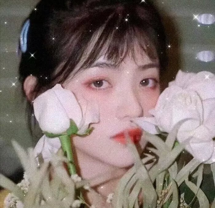 兔子镇的火狐狸